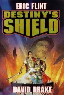 Destiny's shield b-3 Destiny's shield b-3