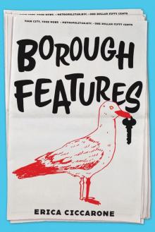 Borough Features