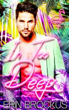 In Too Deep: A Second Chance Romance (Flamingo Island)