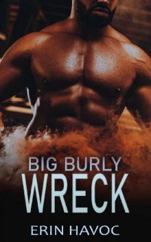 BIG BURLY WRECK: An Age Gap Romance (Forbidden Curves Book 23)