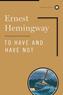 To Have and Have Not To Have and Have Not
