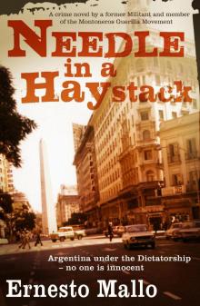 Needle In A Haystack
