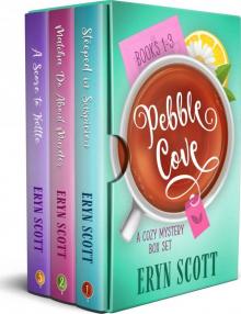 Pebble Cove: A Cozy Mystery Box Set: Books 1-3