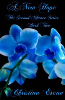 A New Hope (The Second Chance Series Book 2)