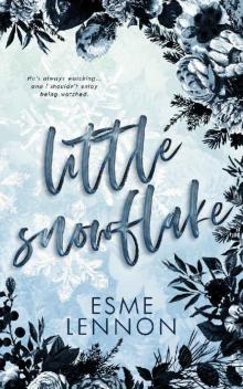 Little Snowflake: A dark romance novella
