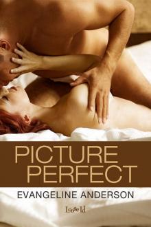 Picture Perfect Picture Perfect