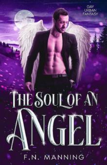 The Soul of an Angel: Gay Urban Fantasy (Supernatural Affairs Book 5)