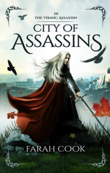 City of Assassins City of Assassins