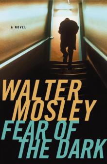 Walter Mosley_Fearless Jones 03