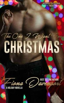The One I Want for Christmas