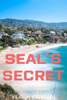 SEAL's Secret: A Navy SEAL Romantic Suspense Novel (A Man Who Knows What He Wants Book 24)