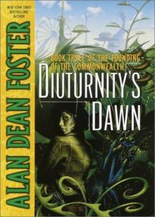 Diuturnity's Dawn Diuturnity's Dawn