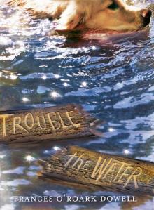 Trouble the Water Trouble the Water
