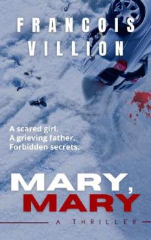Mary, Mary: A psychological thriller of grief and forbidden secrets