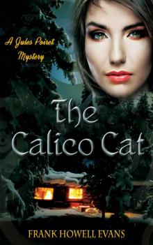 The Calico Cat (A Jules Poiret Mystery Book 8)