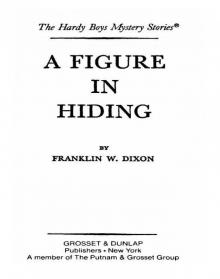 A Figure in Hiding A Figure in Hiding