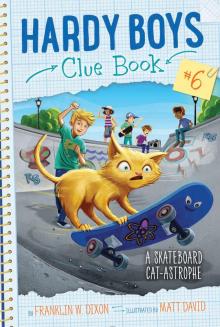 A Skateboard Cat-astrophe A Skateboard Cat-astrophe