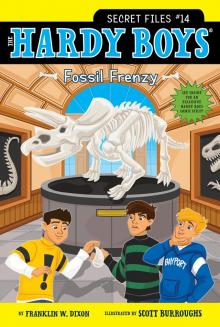 Fossil Frenzy Fossil Frenzy