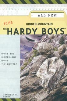 Hidden Mountain Hidden Mountain