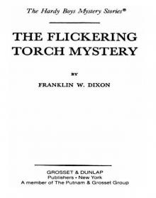 The Flickering Torch Mystery The Flickering Torch Mystery