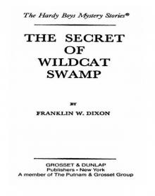 The Secret of Wildcat Swamp The Secret of Wildcat Swamp