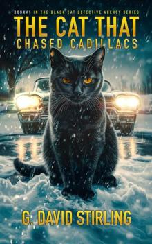 The Cat That Chased Cadillacs: Black Cat Detective Agency Book #1
