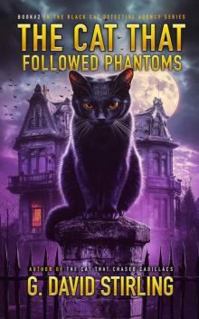 The Cat That Followed Phantoms: Black Cat Detective Agency Book #2