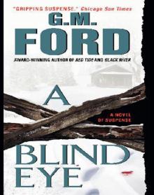 A Blind Eye A Blind Eye