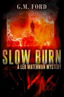 Slow Burn Slow Burn