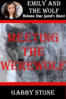 Meeting the Werewolf Meeting the Werewolf