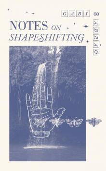 Notes on Shapeshifting