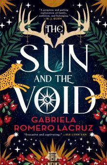 The Sun and the Void
