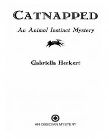 Catnapped