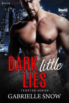 Dark Little Lies Dark Little Lies