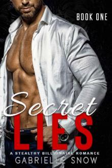 Secret Lies: A Stealthy Billionaire Romance (Secret Series Book 1) Secret Lies: A Stealthy Billionaire Romance (Secret Series Book 1)