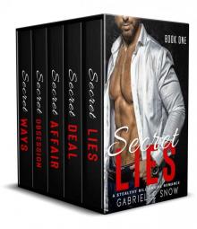 Secret Series: A Stealthy Billionaire Romance Box Set Secret Series: A Stealthy Billionaire Romance Box Set