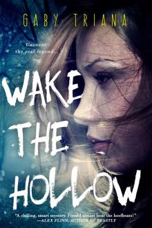 Wake the Hollow Wake the Hollow