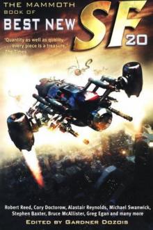 The Mammoth Book of Best New SF v.20 15