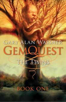The Twins