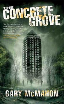 The Concrete Grove cg-1