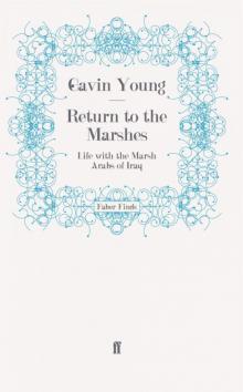 Return to the Marshes