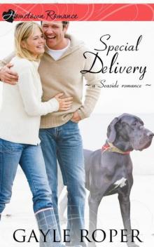 SEASIDE ROMANCE 01: Special Delivery SEASIDE ROMANCE 01: Special Delivery