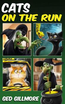 Cats on the Run
