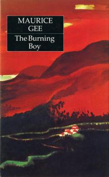 Burning Boy (Penguin Award Winning Classics), The