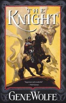 The Knight twk-1