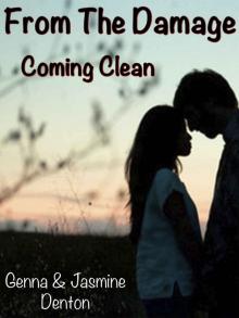 Coming Clean (From the Damage)