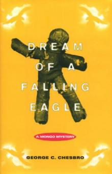 Dream of a Falling Eagle m-14