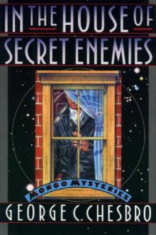 In The House Of Secret Enemies m-9