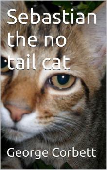 Sebastian the No Tail Cat