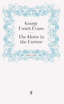 The Horse in the Furrow The Horse in the Furrow